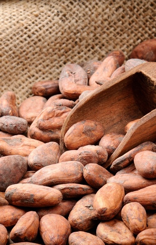 Ingrédients avec fèves de cacao | Nutella
