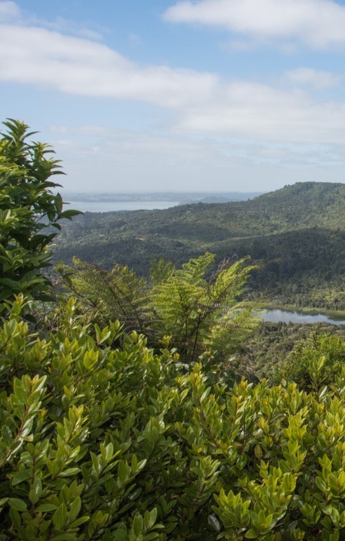 Paysage verdoyant et ciel bleu, symbolisant le développement durable de Nutella.