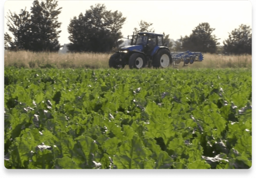 Sucre en poudre Qualité Production | Nutella