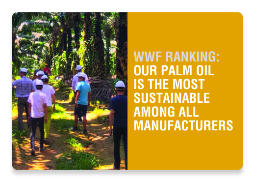 Palm Oil WWF