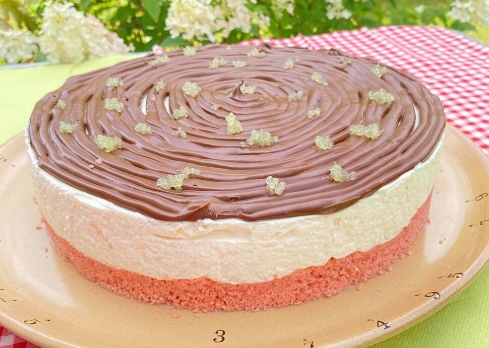 Cheesecake aux biscuits roses de Reims, pomelos rose et Nutella® | Nutella Cheesecake aux biscuits roses de Reims, pomelos rose et Nutella® | Nutella