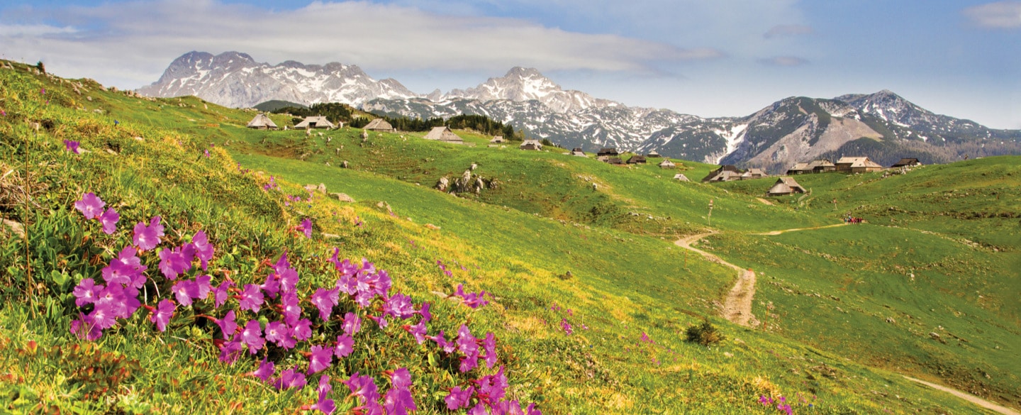 velika-planina