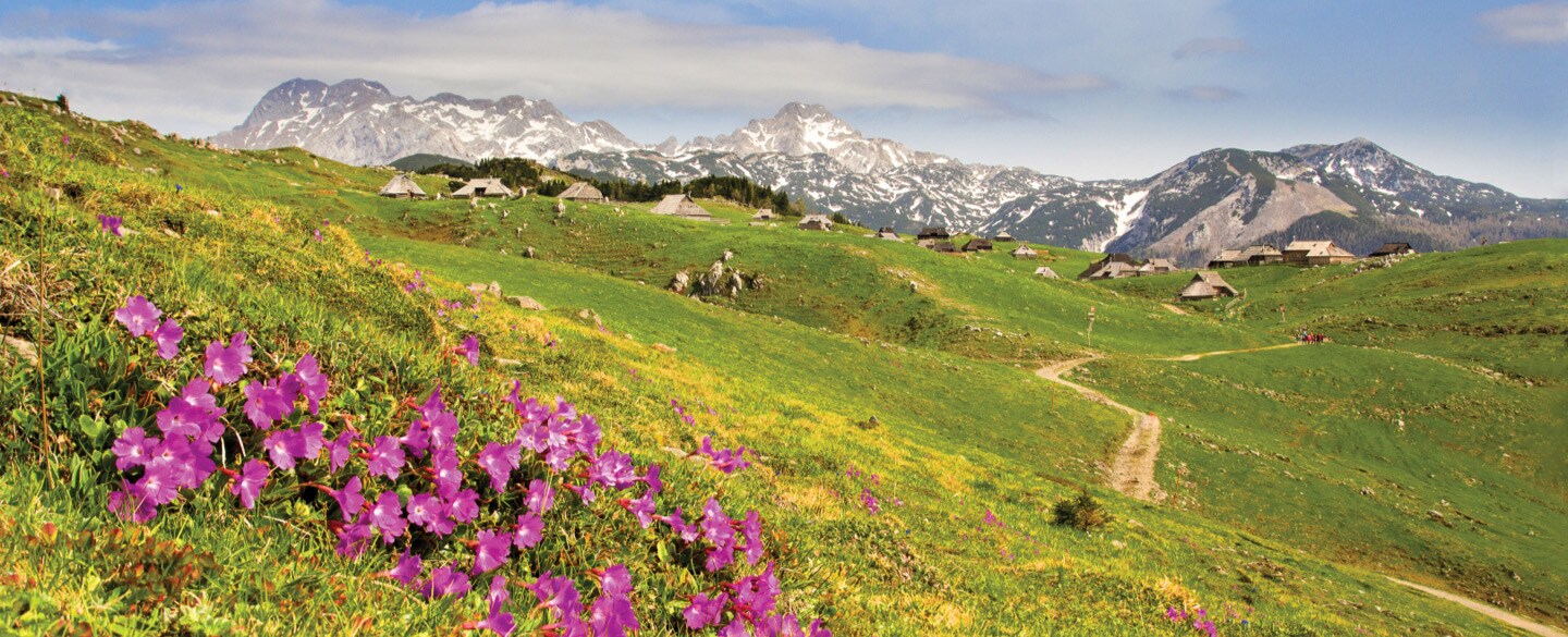 velika-planina