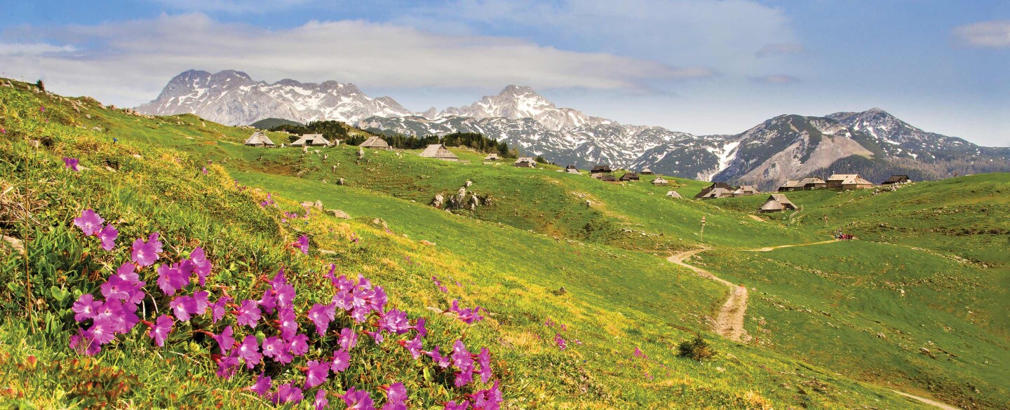 Velika Planina.png