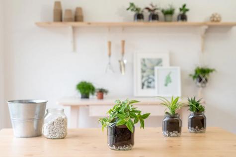 Nutella plant-jar craft step showing decorative assembly with soil and greenery.