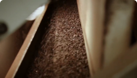 Cocoa Roasting Step 2 | Nutella