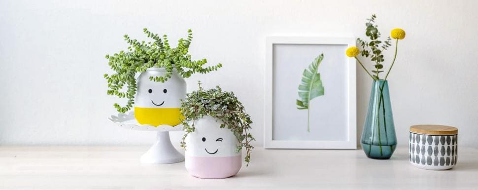 Comment transformer vos pots de Nutella® en personnages souriants pour vos plantes | Nutella