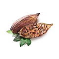 engagement-cacao