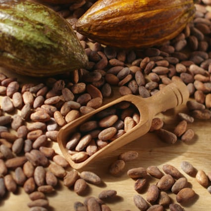 cacao-nutella-1_0