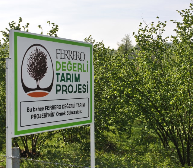 ferrero-farming-turkey