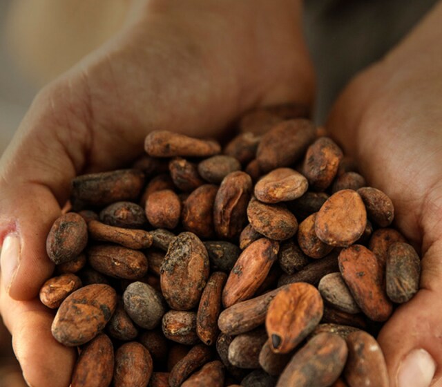 transformation-cacao-nutella_2