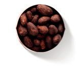 Cacao Cacao