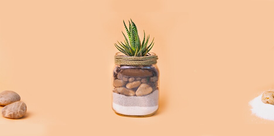 Vasetto Piantina | Nutella