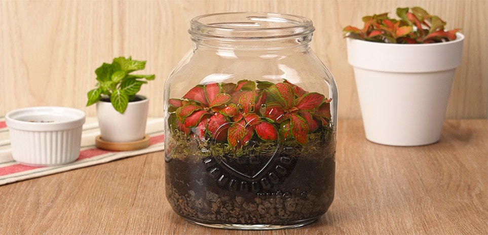 Vasetto Terrarium Nutella®
