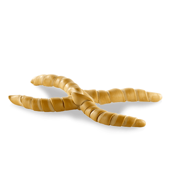 transparent image