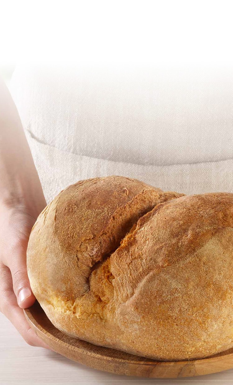 Pane casereccio della Basilicata aspetto mobile v2
