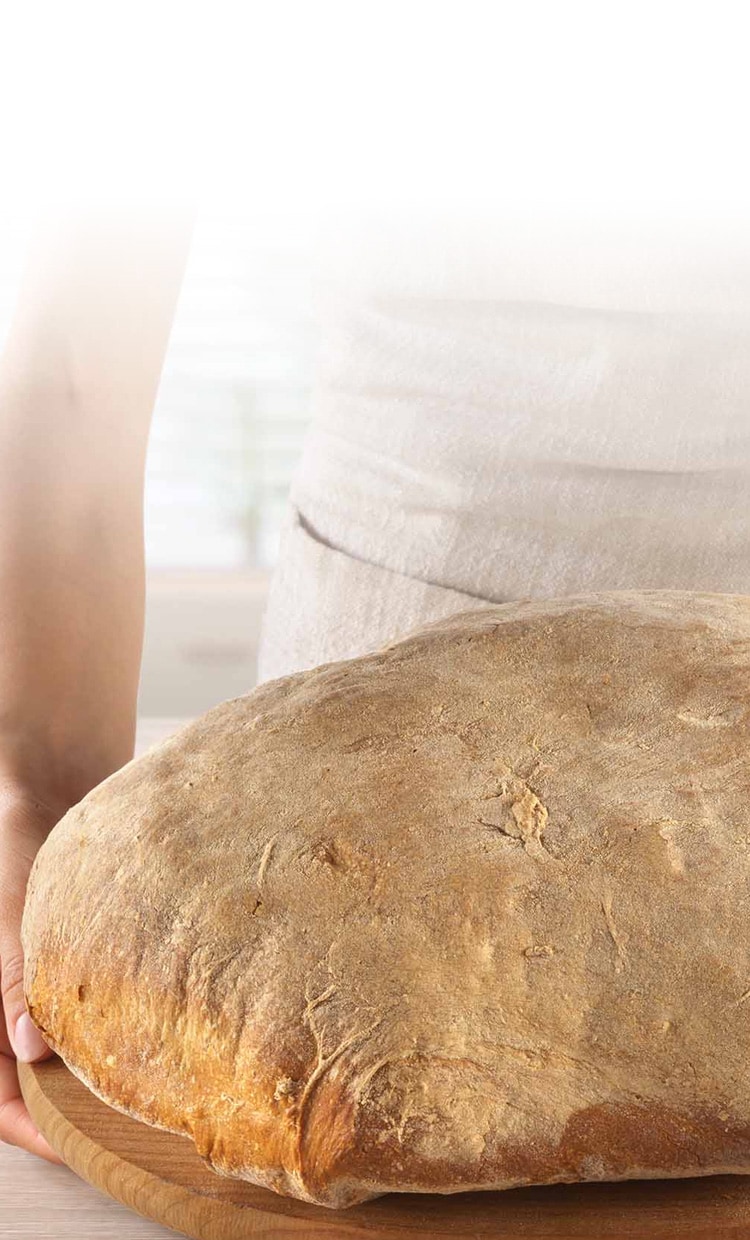 pane-cerchiara-aspetto_caratteristiche