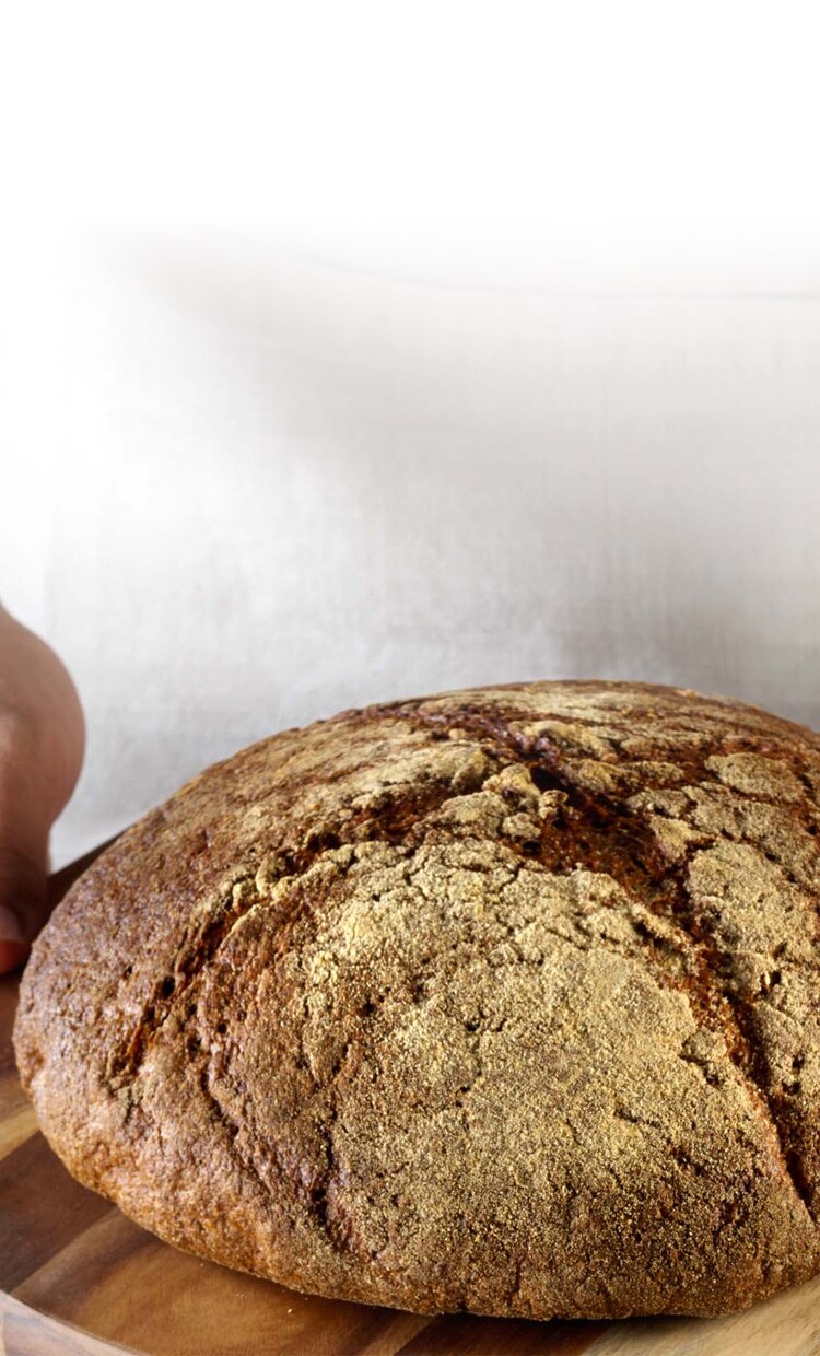 pane-nero-aspetto_caratteristiche