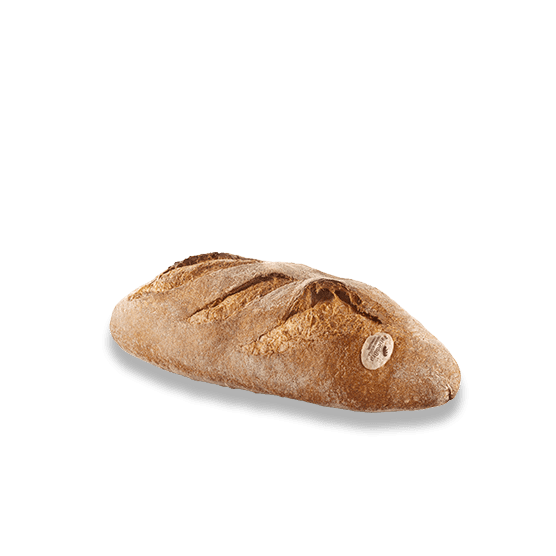 Pane_Bra_556x556