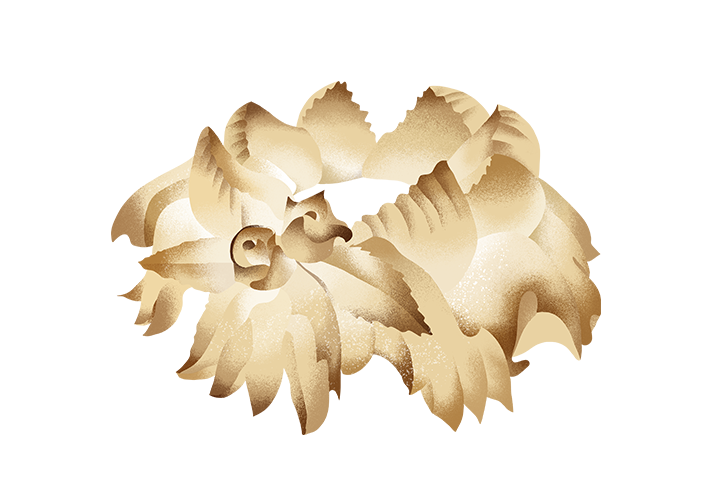 coccoi_desktop.png