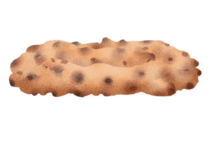 cogones_desktop.png