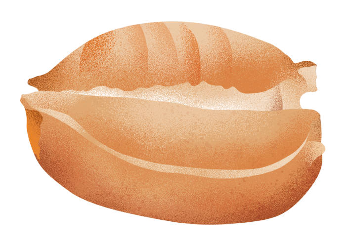 marsigliese_desktop.png