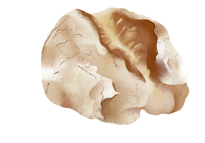 pagnotta-di-sezze_desktop.png