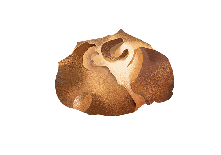 pane di zucca
