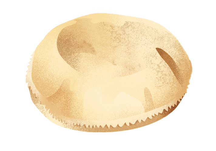 pane-cicci_dekstop.png