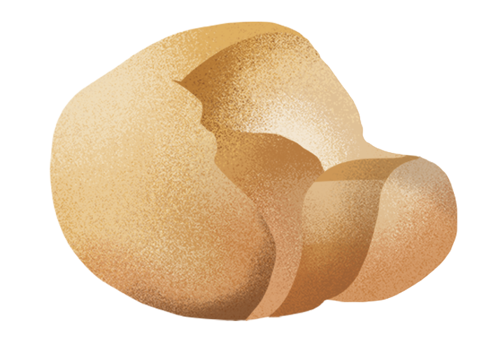 pane-di-sant-antonio_desktop.png