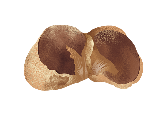 pane-di-triggiano_desktop.png