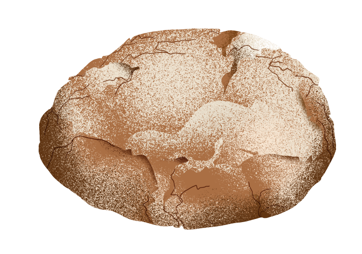 puccia-di-cortina_dekstop.png