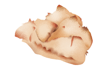 194_pane-samugheo_mobile.png