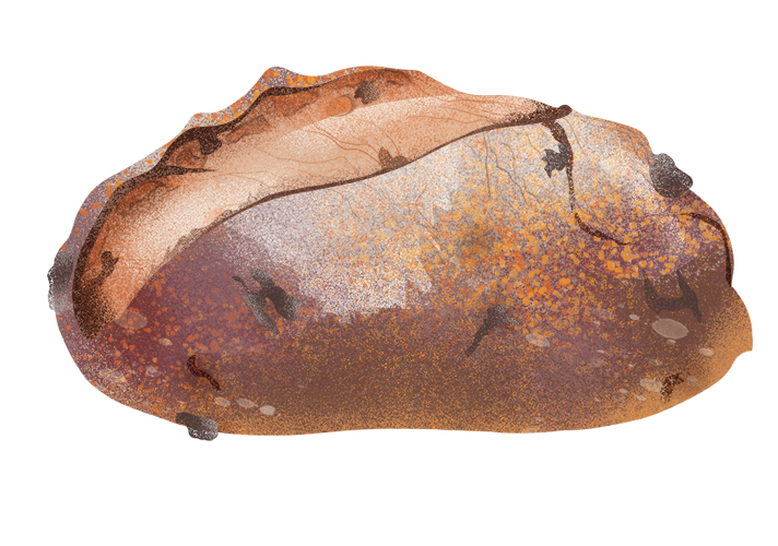 a_pan-nociato_desktop.png