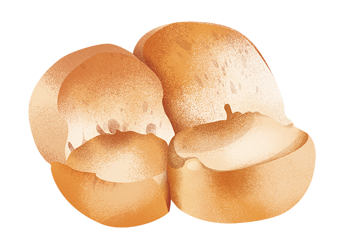 biga-servolana_desktop.png