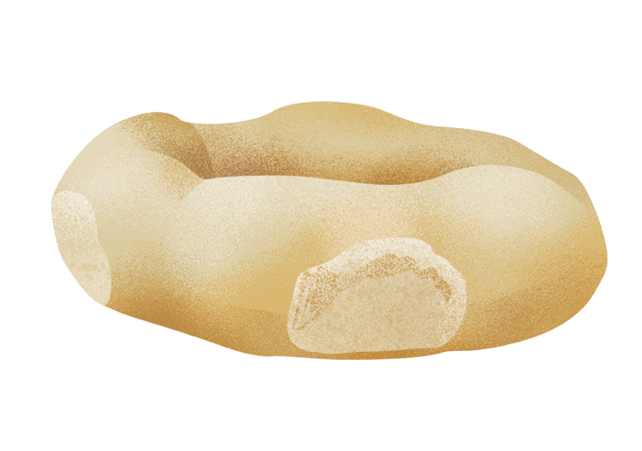 bizula_desktop.png