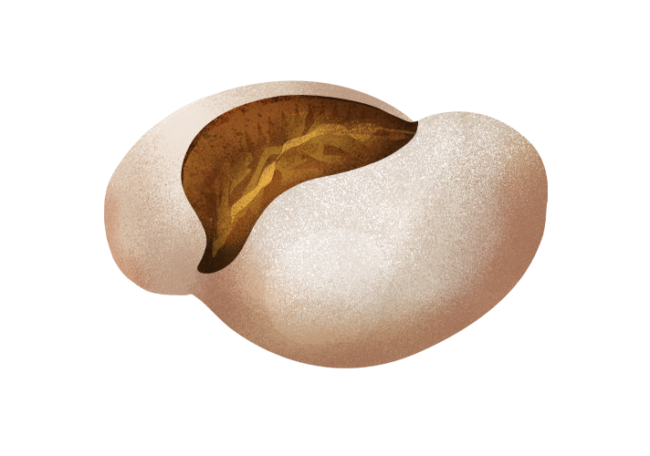 brunetto_desktop.png