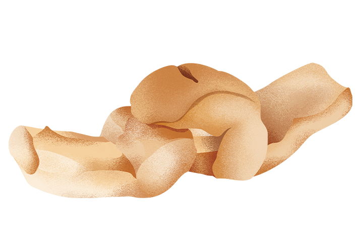 busella_desktop.png