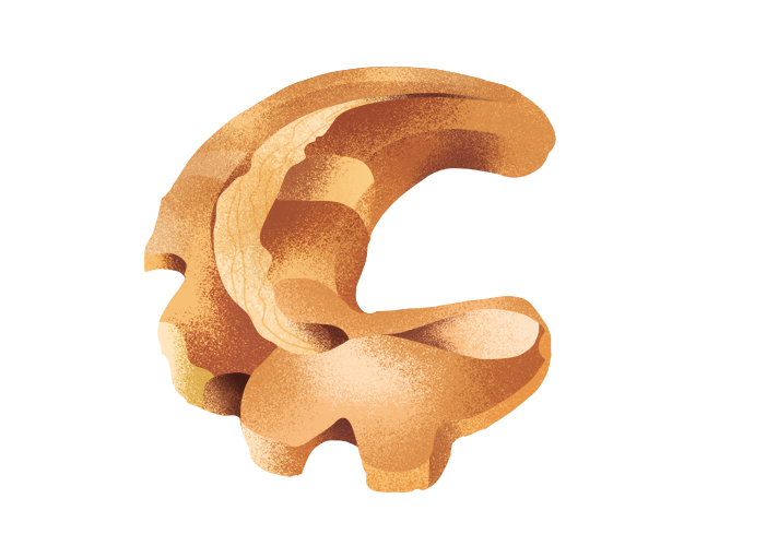 gadduzzu_desktop.png