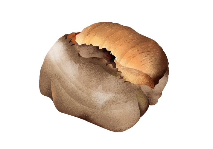 jenne_desktop.png