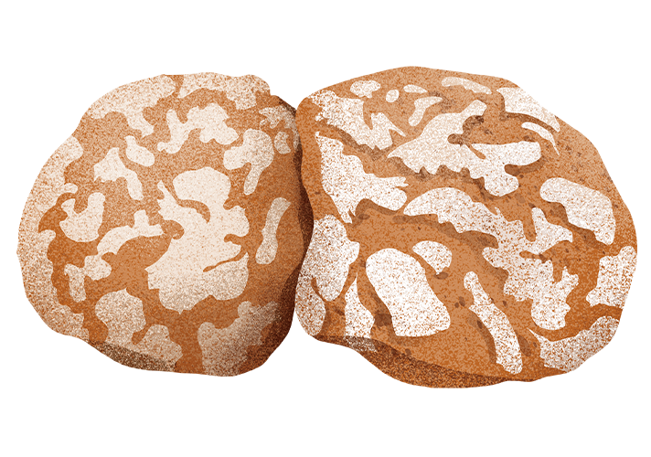 paarl_desktop.png