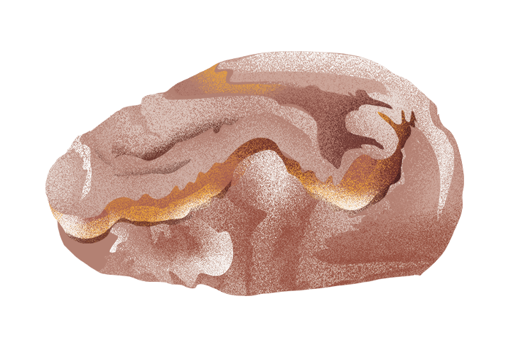 pane-cafone_desktop.png
