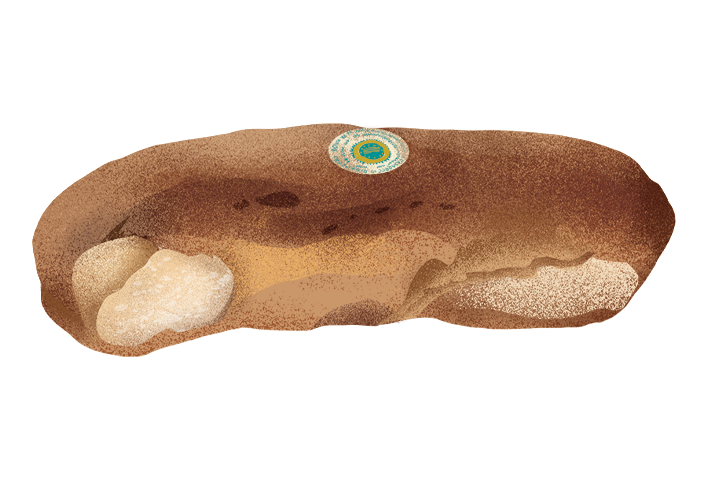 pane-casareccio-di-genzano-igp_desktop.png
