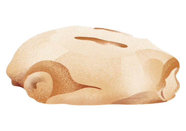 pane-casereccio-molisano_desktop.png