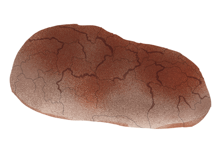 pane-di-celenza-valfortore_desktop.png