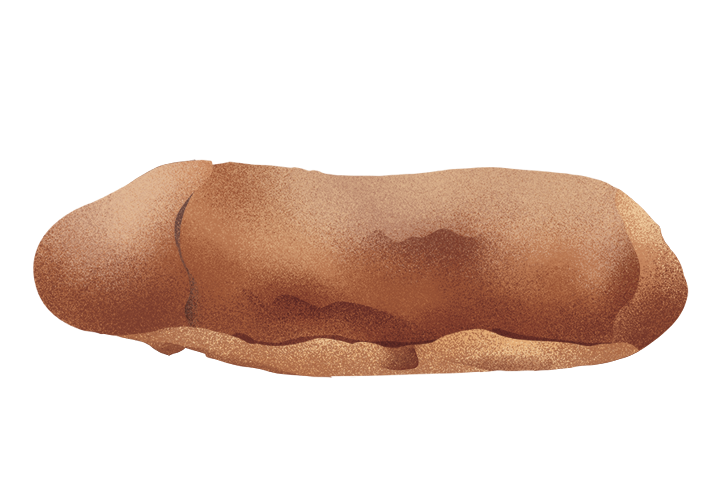 pane-di-matino_desktop.png