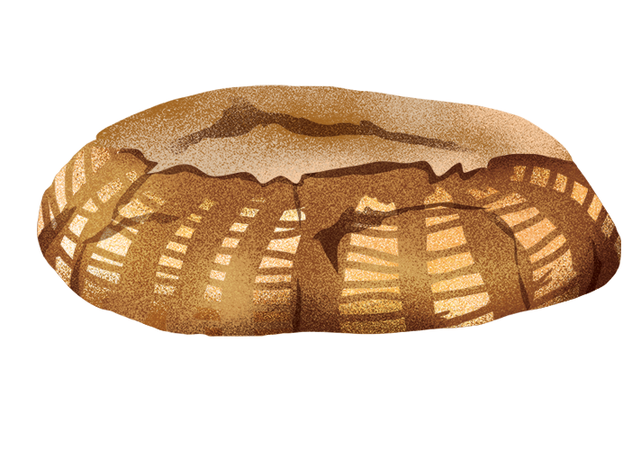 pane-di-orsara_desktop.png