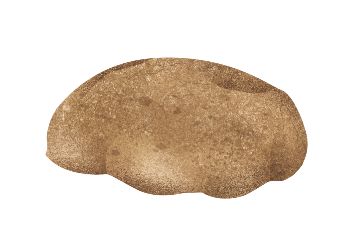 pane-di-rivello_desktop.png