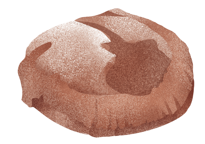 pane-di-venasca-cotto-in-forno-a-legna_desktop.png