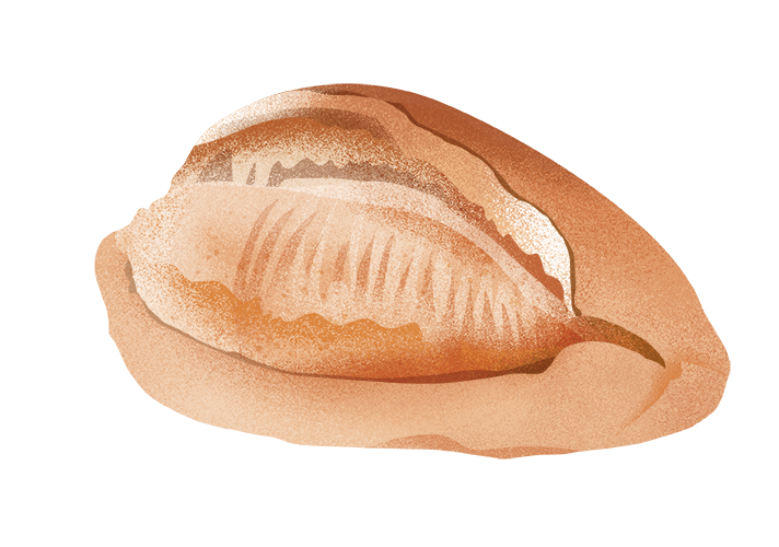 pizzarello_desktop.png